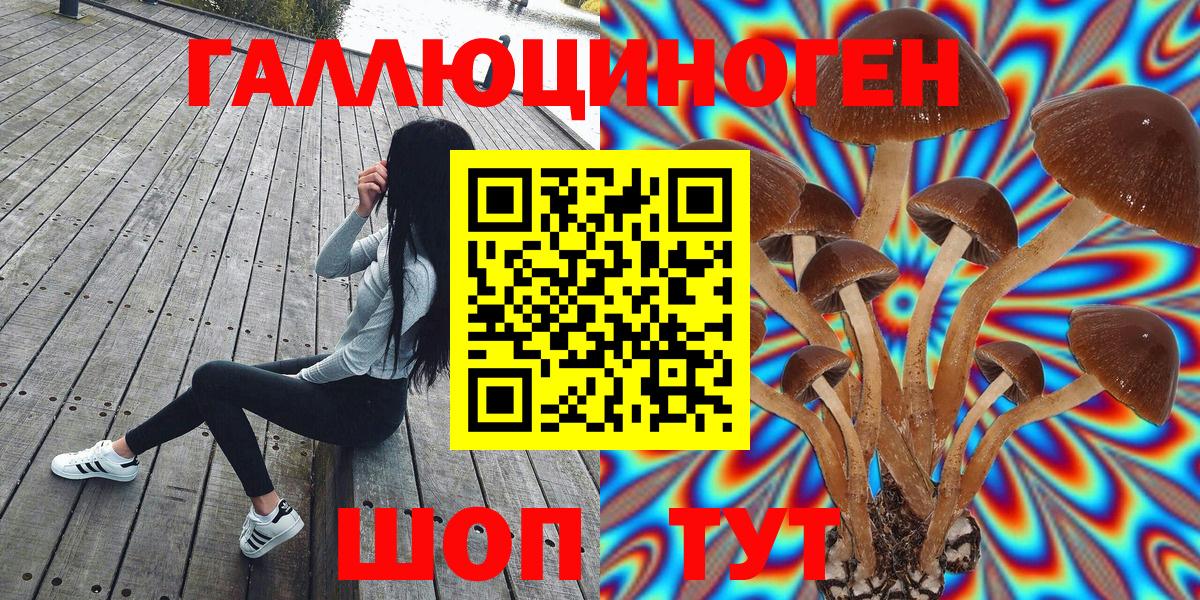 Можга  Псилоцибиновые грибы Psilocybine cubensis  Вход с VPN  Псилоцибиновые грибы Psilocybine cubensis 