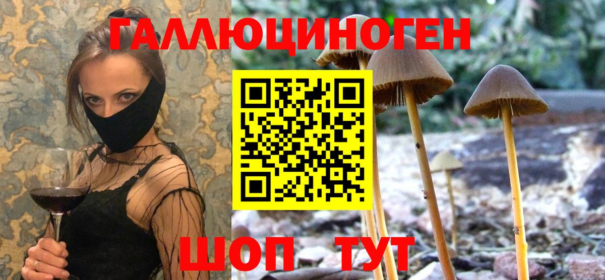Галлюциногенные грибы Cubensis Можга